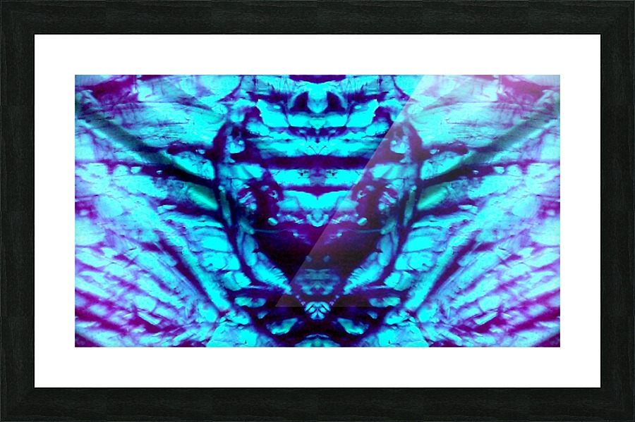 1541251409275 Picture Frame print