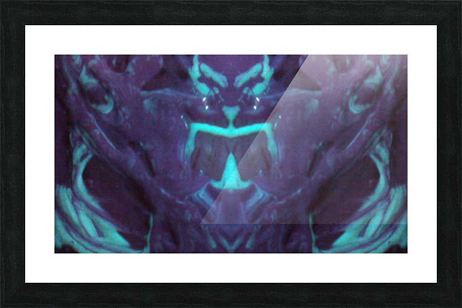 1541276819433 Picture Frame print
