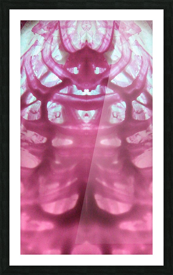 1541276458093~2 Picture Frame print