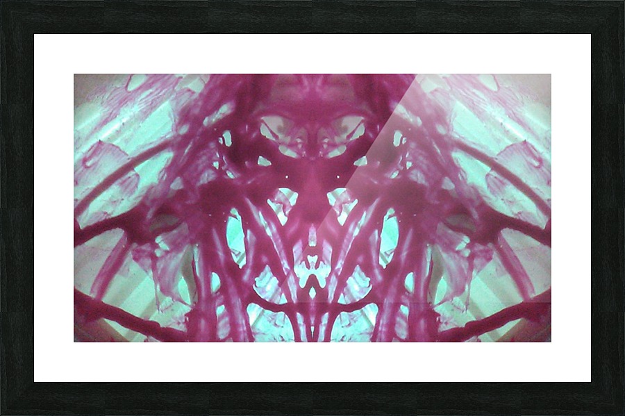 1541275982952 Picture Frame print