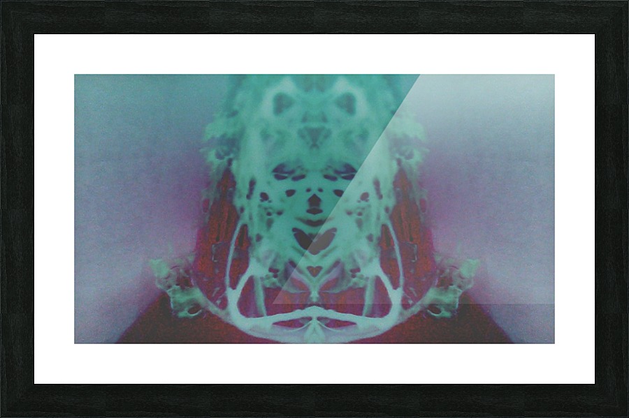 1541275753789 Picture Frame print