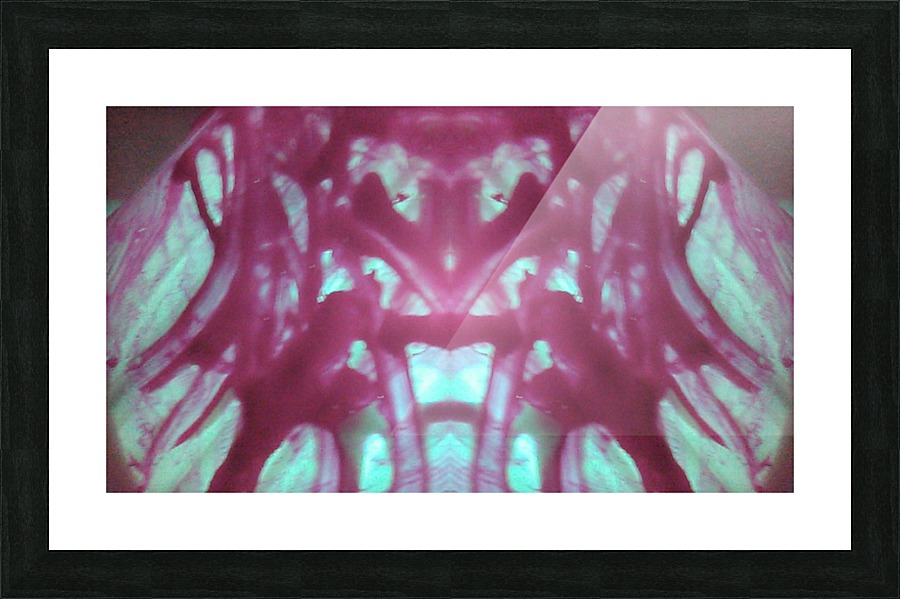 1541276836739 Picture Frame print