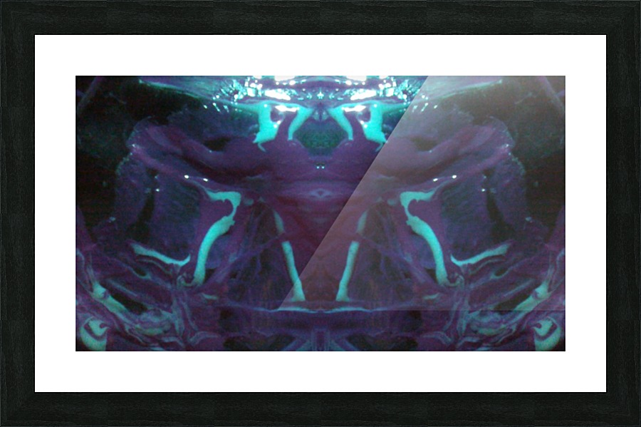 1541276810908 Picture Frame print