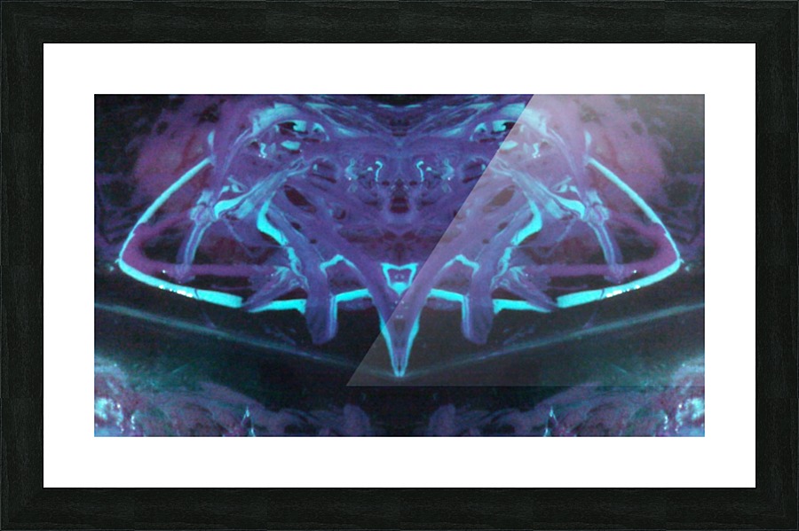 1541276556265 Picture Frame print