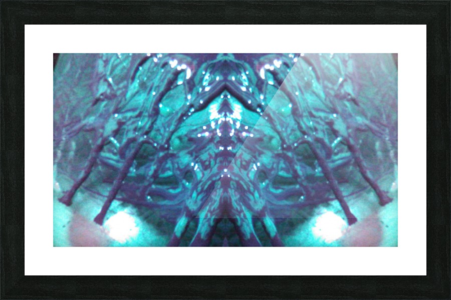 1541276618375 Picture Frame print