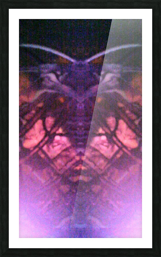 1541275314758~2 Picture Frame print