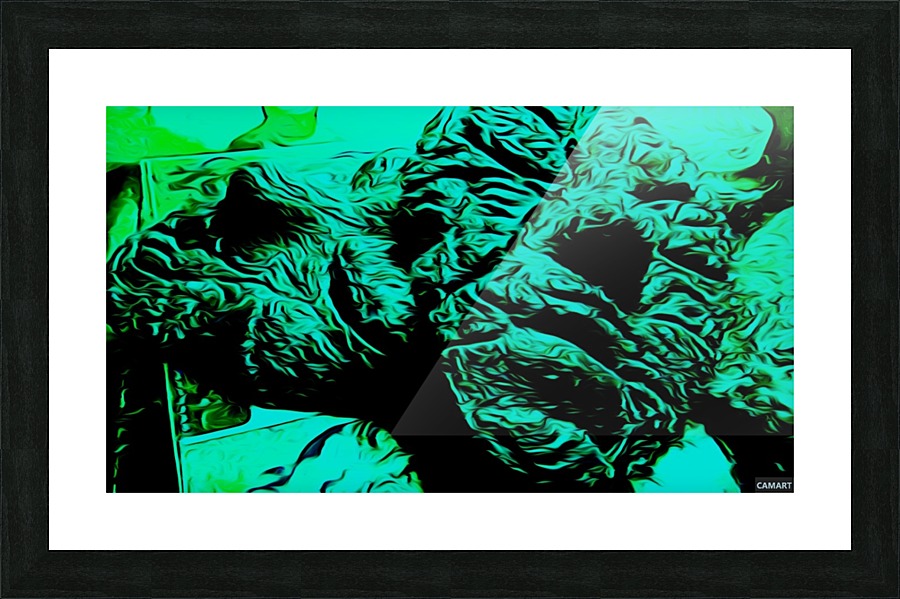 camart1541376806801 Picture Frame print