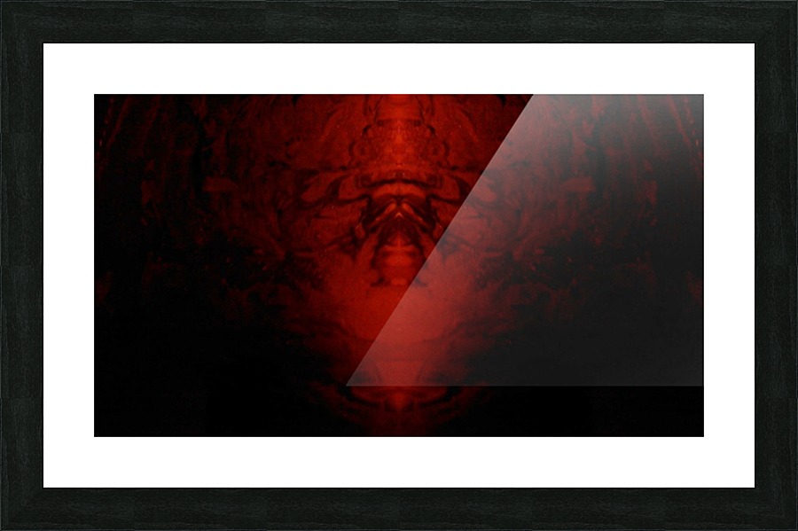 1541651829900 Picture Frame print