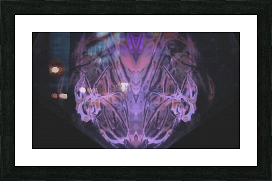 1541565316722 Picture Frame print