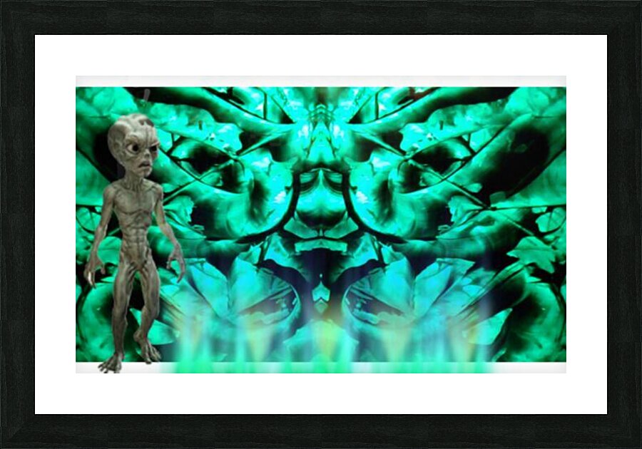 1542348210312 Picture Frame print