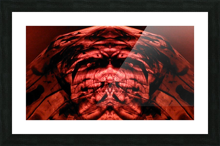 1542420360411 Picture Frame print