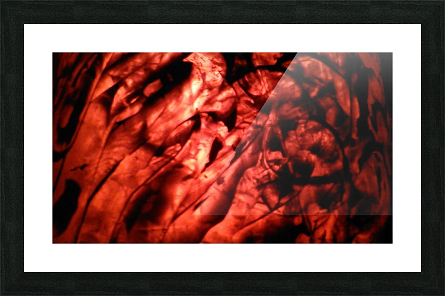 1542419203344 Picture Frame print
