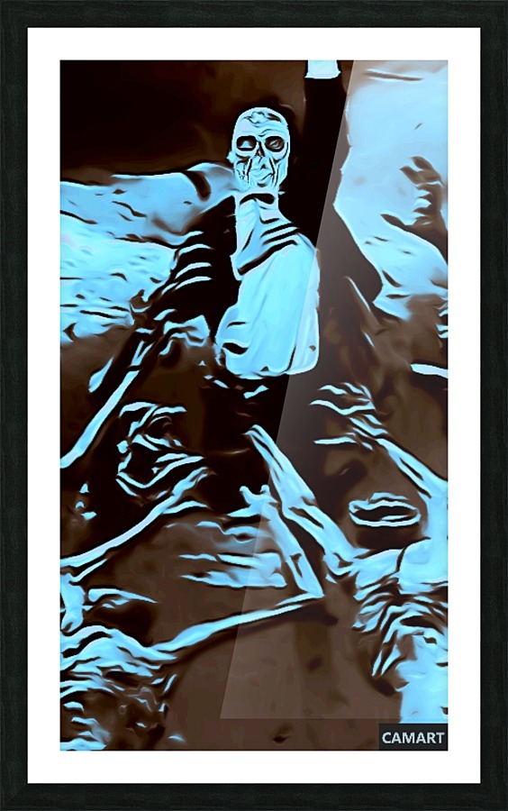 camart1542919257595 Picture Frame print