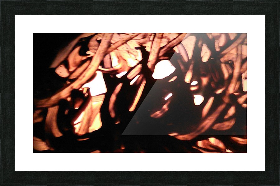 1544849201358 Picture Frame print