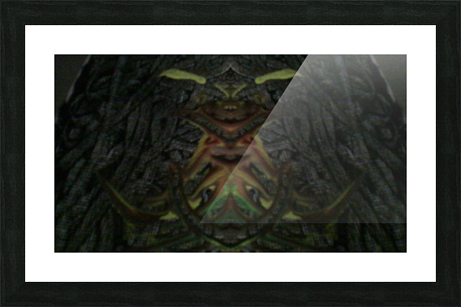 1545050001319 Picture Frame print