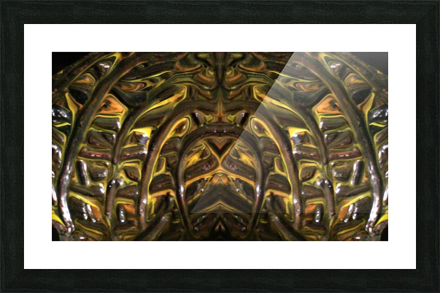 1545086808700 Picture Frame print