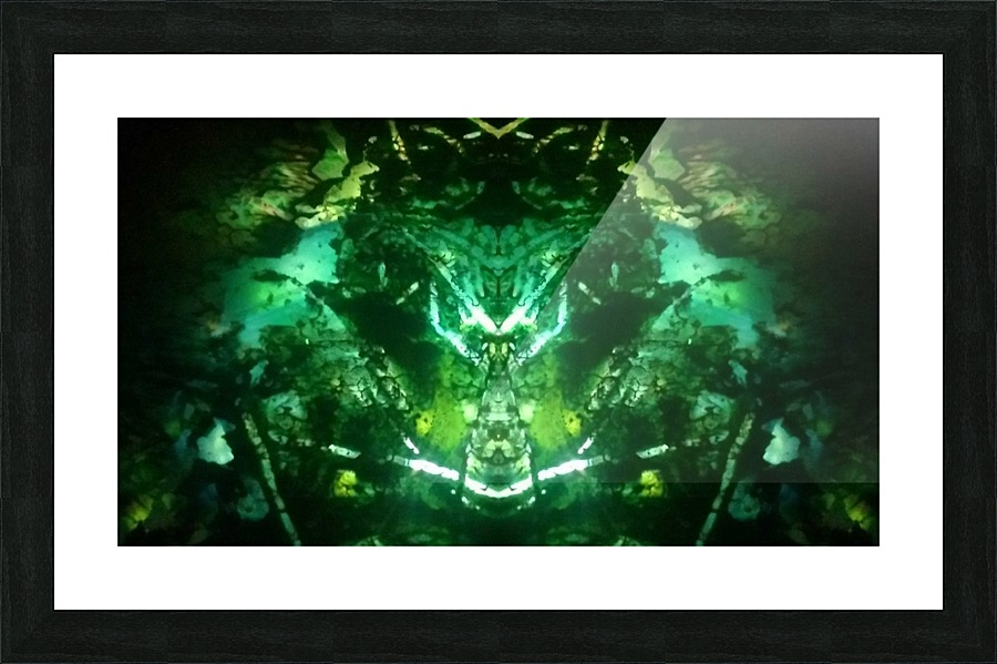 1547173392688 Picture Frame print