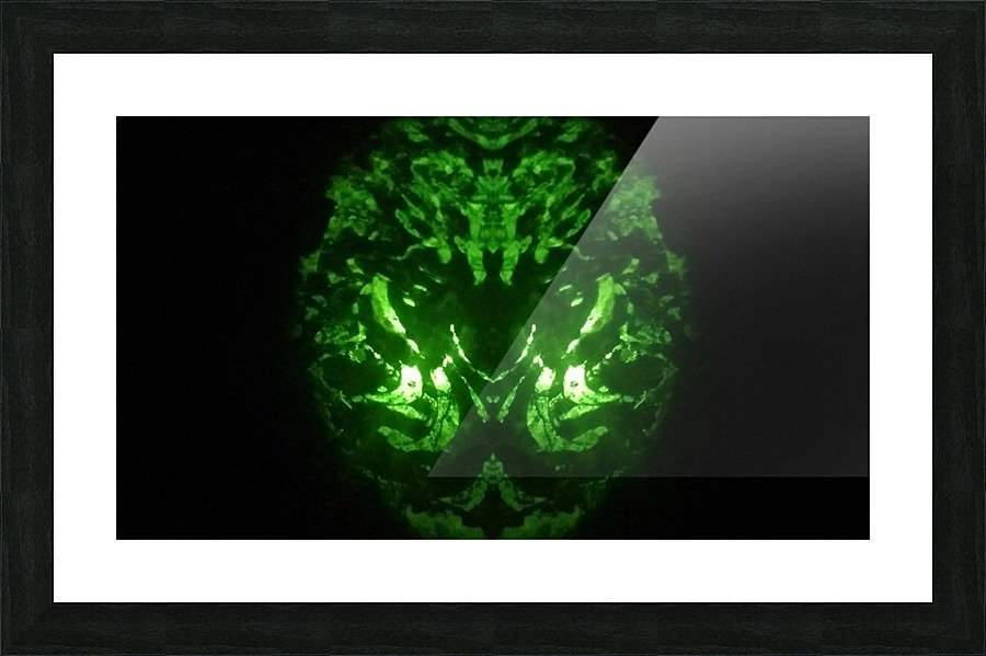 1547172449966 Picture Frame print