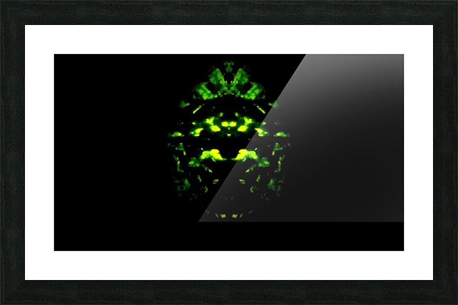 1547170446304 Picture Frame print