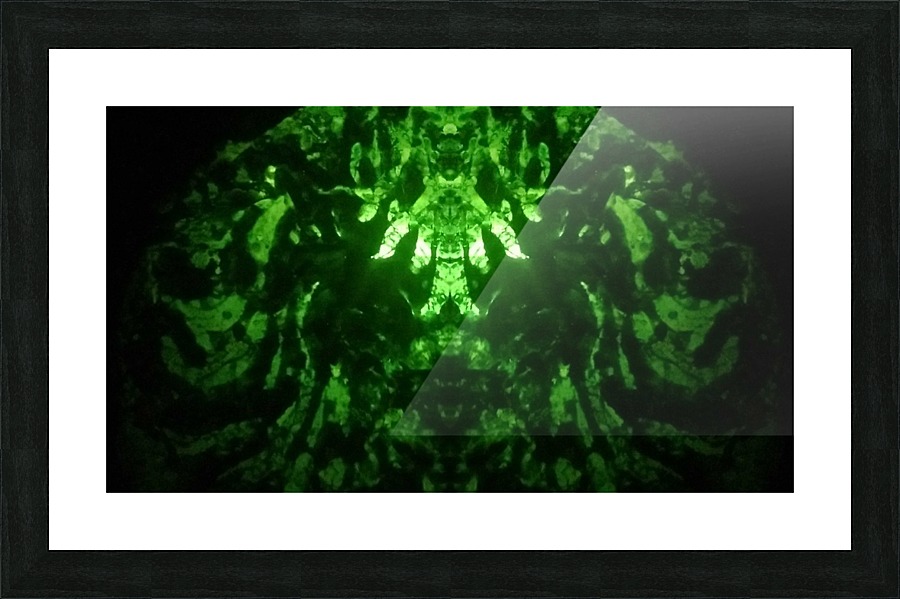 1547172372010 Picture Frame print