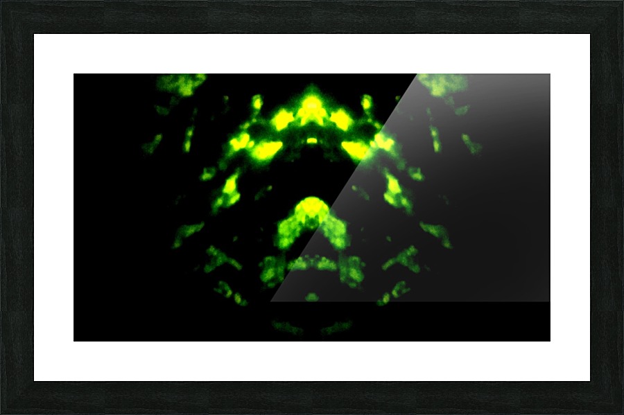 1547170358548 Picture Frame print