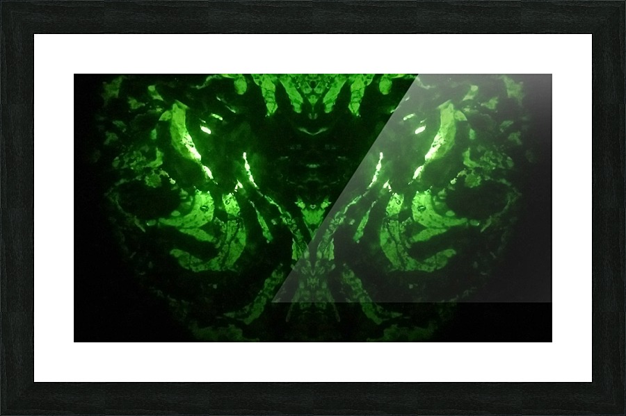 1547172320144 Picture Frame print