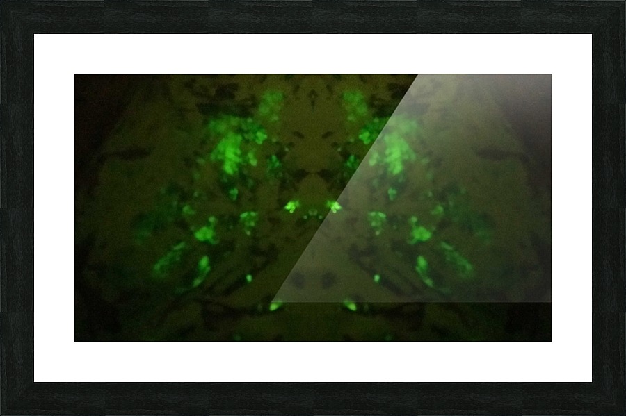 1547169852277 Picture Frame print