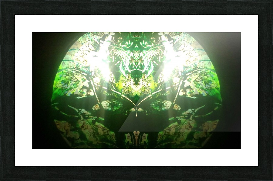 1547169313627 Picture Frame print