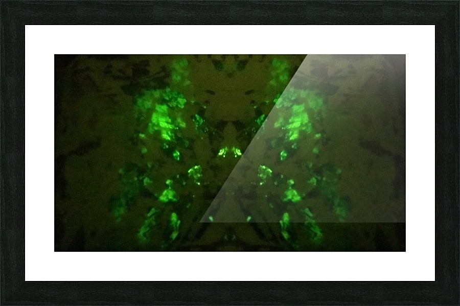 1547169878149 Picture Frame print