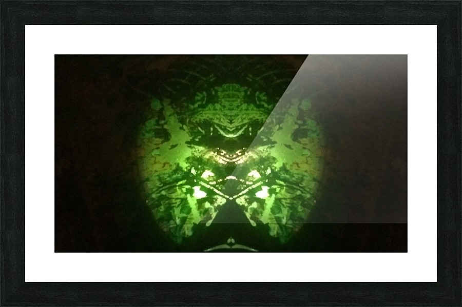 1547169651307 Picture Frame print
