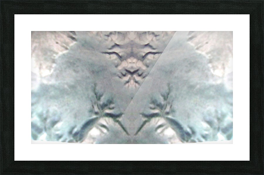 1548133162560 Picture Frame print