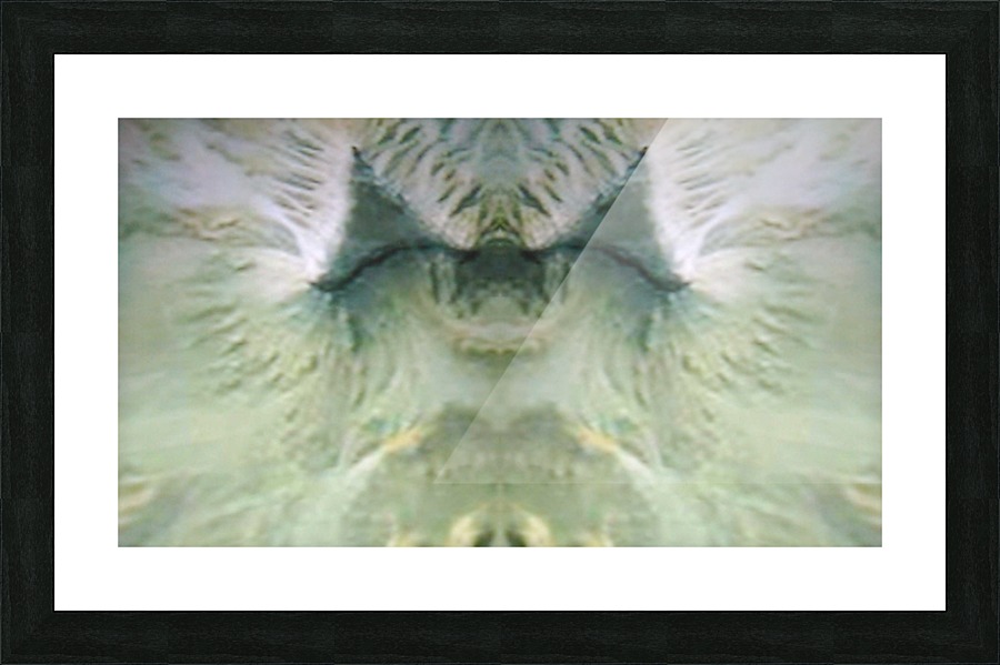 1548132354080 Picture Frame print