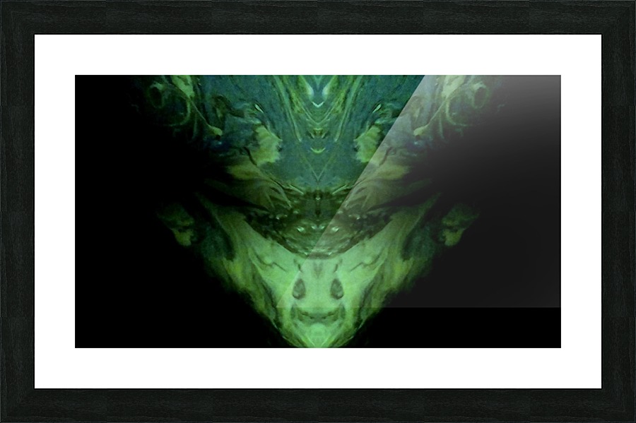 1561543721553 Picture Frame print