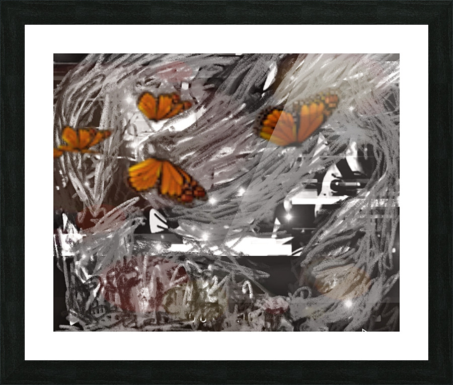 20210910 104512 Picture Frame print