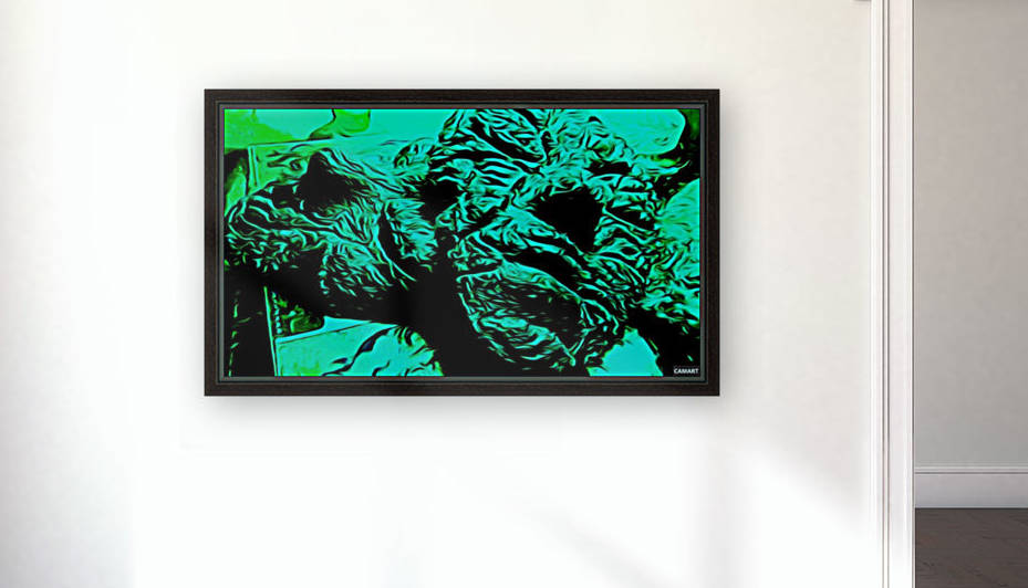 camart1541376806801 Reproduction