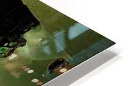 1538532721180 HD Metal print