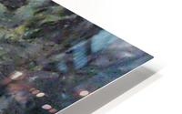 194_mirror3 HD Metal print