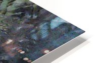 194_mirror8 HD Metal print