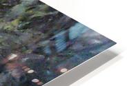 194_mirror5 HD Metal print