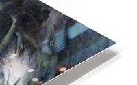 194_mirror2 HD Metal print