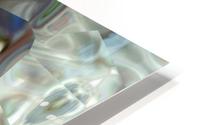 image3A6810_mirror HD Metal print