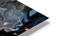 image3A6804_mirror4 HD Metal print