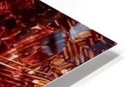 image3A6823_mirror HD Metal print