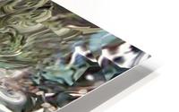 image3A6821_mirror16 HD Metal print