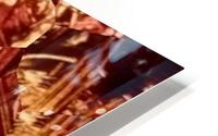 image3A6823_mirror3 HD Metal print