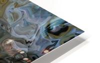 image3A6812_mirror2 HD Metal print