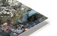 image3A6821_mirror22 HD Metal print