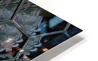 image3A6821_mirror23 HD Metal print