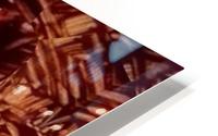 image3A6792_mirror HD Metal print