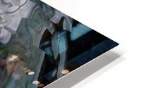 image3A6821_mirror10 HD Metal print